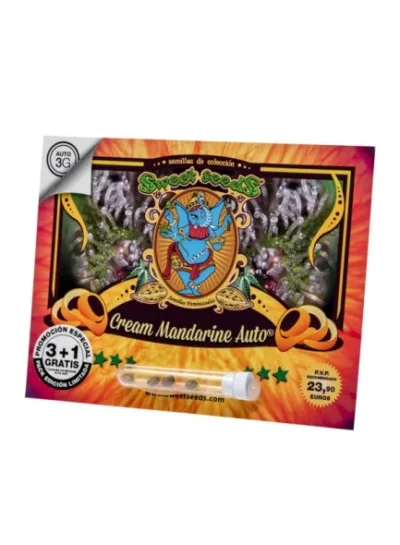 SÜSSE SAMEN - CREME MANDARINE AUTO® FEM (SWS29) – Bild 2