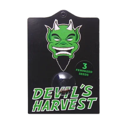 DEVIL'S HARVEST - FALLEN ANGEL FEM | 3 SEMI