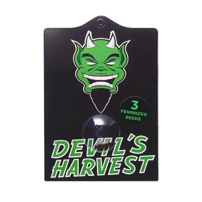 DEVIL'S HARVEST - FALLEN ANGEL FEM | 3 SEMILLAS - Imagen 1