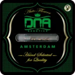 DNA GENETICS - AUTO STRAWBERRY BANANA FEM