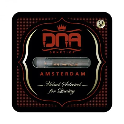 DNA GENETICS - DJ'S GOLD FEM | 3 SEMI