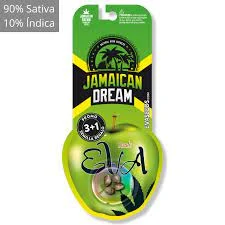 EVA SEEDS - JAMAICAN DREAM FEM
