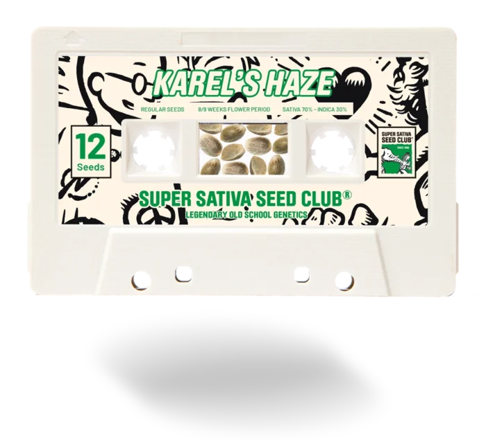 SUPER SATIVA SEED CLUB - KAREL'S HAZE REG | 12 SEEDS - Image 1