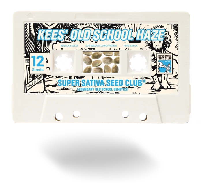 SUPER SATIVA SEED CLUB - KEES' OLD SCHOOL HAZE REG - Image 1