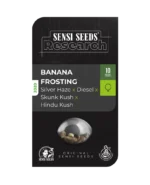 SENSI SEEDS RESEARCH - BANANA FROSTING FEM