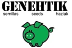GENEHTIK SEEDS - SUPER SILVER BILBO FEM | 1 SEME - immagine 2