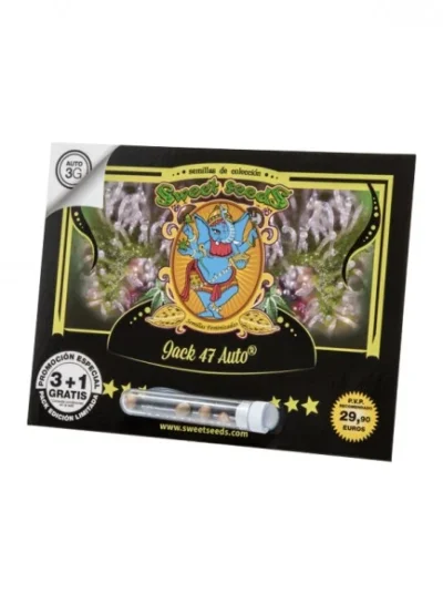 SWEET SEEDS - JACK 47 AUTO® FEM (SWS31) | 5+2 SEEDS Available while stocks last - Image 2