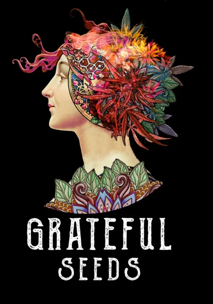 GRATEFUL SEEDS - MELTED RAINBOW FEM (ONE SHOT EDITION) | 5 SEMI