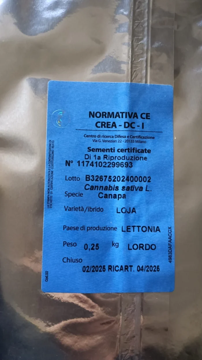 SEMI DI CANAPA VARIETA' LOJA CE | 0,250 Kg - immagine 2