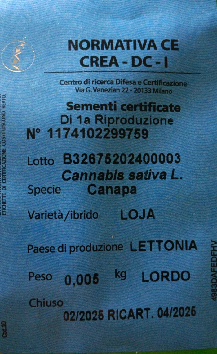 SEMI DI CANAPA VARIETA' LOJA CE | 5g - immagine 1