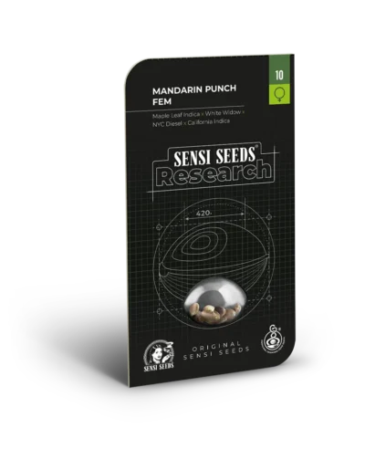 SENSI SEEDS RESEARCH - MANDARIN PUNCH FEM | 3 GRAINES – Image 2