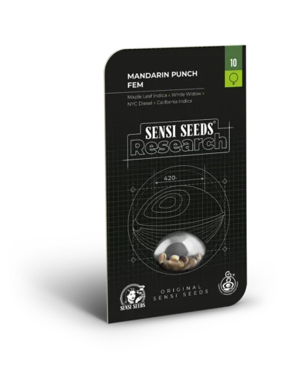 SENSI SEEDS RESEARCH - MANDARIN PUNCH FEM | 3 SEMI
