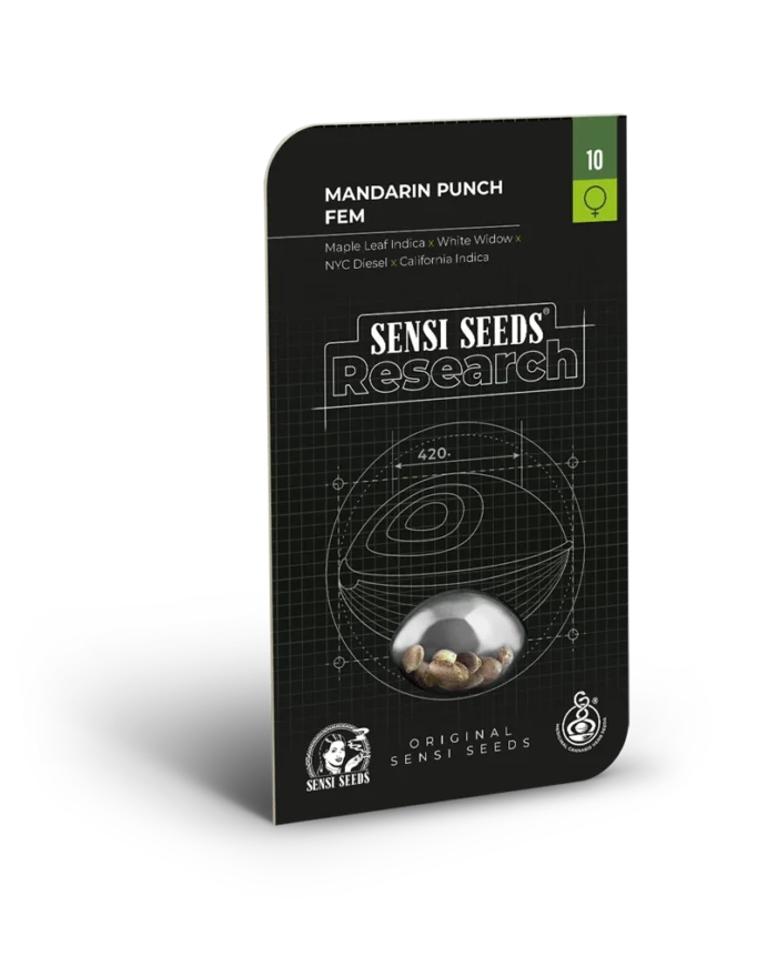 SENSI SEEDS RESEARCH - MANDARIN PUNCH FEM | 3 SEEDS - Image 1