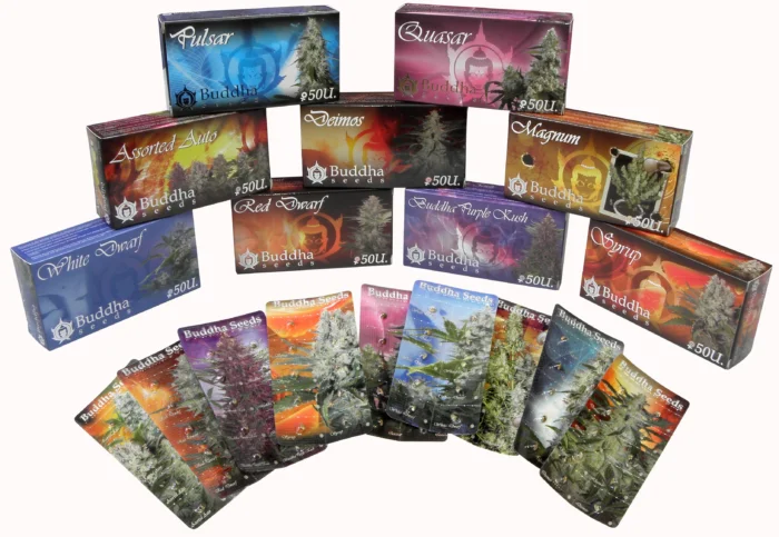 BUDDHA SEEDS - BUDDHA ASSORTED AUTO CLASSIC FEM - immagine 1