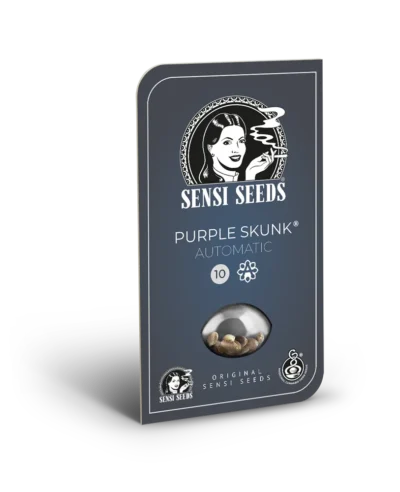SENSI SEEDS BANK - BANANA KUSH CAKE AUTO FEM | 3 SEEDS - Image 2