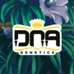 DNA GENETICS - CATARACT CAKE FEM | 6 SEMI - immagine 2