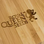 ROYAL QUEEN SEEDS - VASSOIO MAGNETICO IN BAMBU' PER ROLLARE - immagine 2