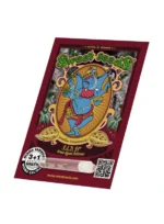 GRAINES DOUCES - S.A.D. SWEET AFGANI DELICIOUS S1® FEM (SWS02) – Image 2