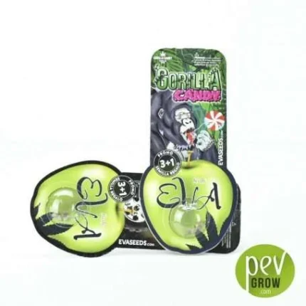 EVA SEEDS - GORILLA CANDY FEM