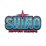 RIPPER SEEDS - SHIMO FEM | 3 SEMI - immagine 2