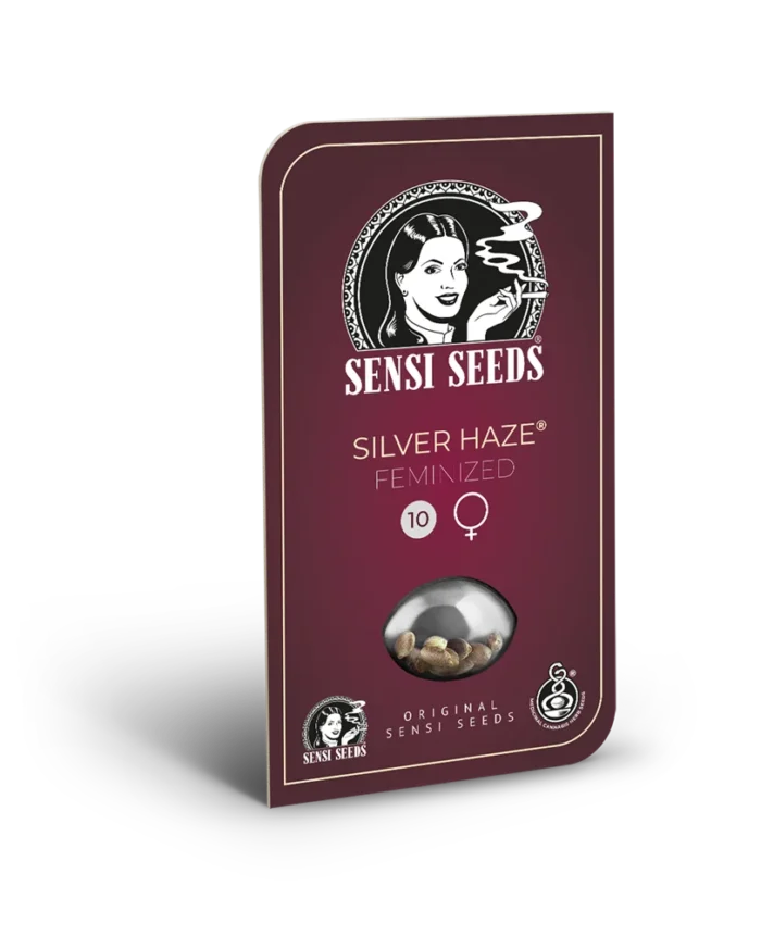 SENSI SEEDS BANK - SILVER HAZE FEM (anciennement SILVER HAZE#9) | 5 SEEDS – Image 1