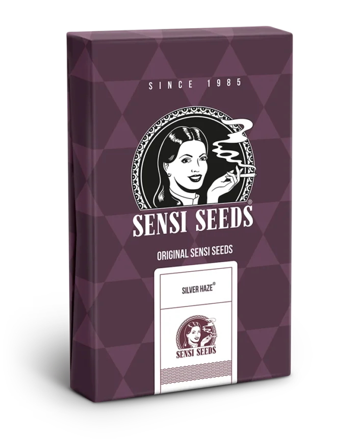 SENSI SEEDS BANK - SILVER HAZE FEM (anciennement SILVER HAZE#9) | 5 SEEDS – Image 3