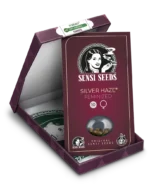 SENSI SEEDS BANK - SILVER HAZE FEM (anciennement SILVER HAZE#9) | 5 SEEDS – Image 2