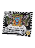 SWEET SEEDS - SWEET AMNESIA HAZE XL AUTO® FEM (SWS57) – Image 2