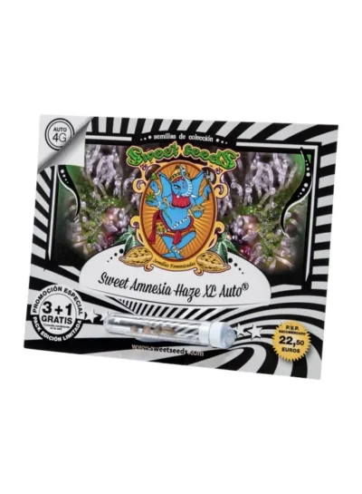 SÜSSE SAMEN - SÜSSE AMNESIE HAZE XL AUTO® FEM (SWS57) – Bild 2