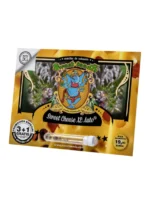 SWEET SEEDS - SWEET CHEESE XL AUTO® FEM (SWS77) - immagine 2
