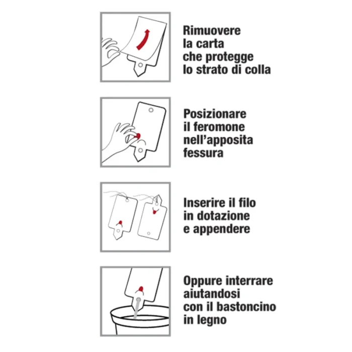 FLORTIS - TRAPPOLA PIRALIDE DEL BOSSO CON FEROMONE - immagine 2