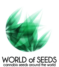 AMNESIA RYDER 3 SEMI AUTO WORLD OF SEEDS