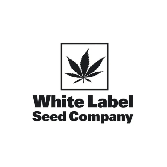 WHITE LABEL - ICE CREAM #420 FEM - Image 1