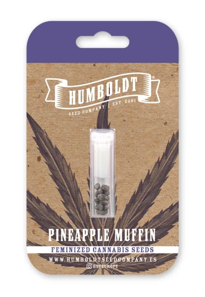 HUMBOLDT SEEDS COMPANY - PINEAPPLE MUFFIN FEM - immagine 1