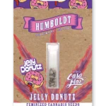 HUMBOLDT SAMEN UNTERNEHMEN - JELLY DONUTZ FEM