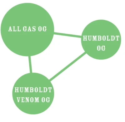 HUMBOLDT SEEDS COMPANY - ALLE GAS OG FEM - immagine 2