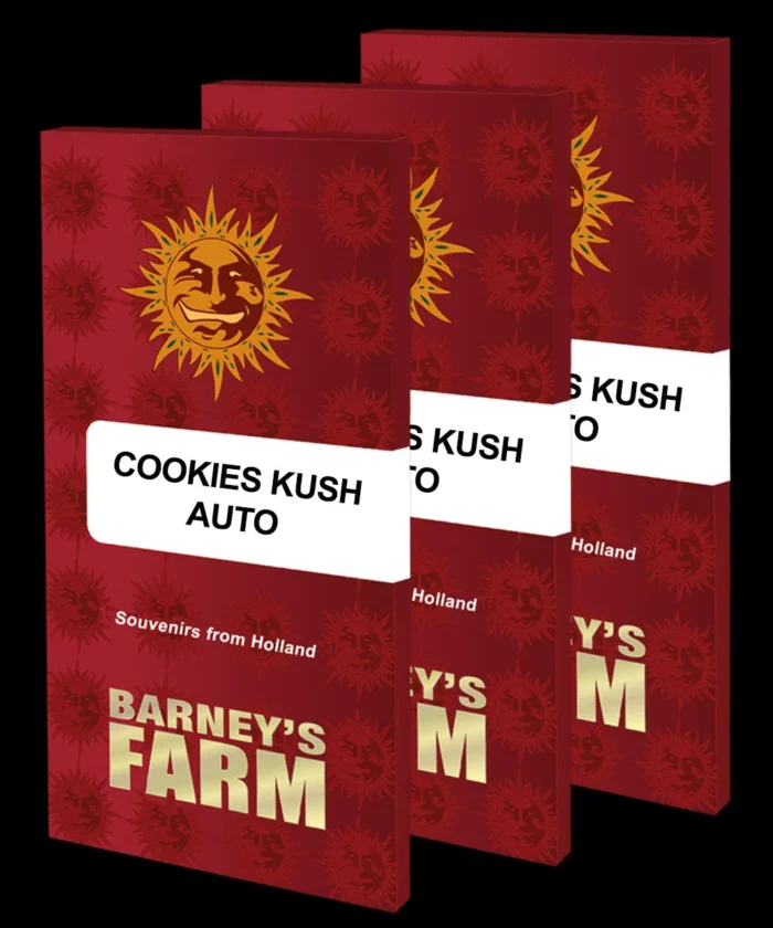 BARNEY'S FARM - COOKIES KUSH AUTO FEM Available while stocks last - Image 2