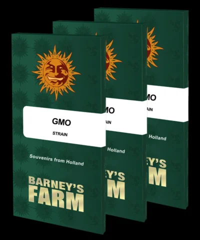 BARNEY'S FARM - GMO FEM Disponible dans la limite des stocks disponibles – Image 2