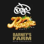 BARNEY'S FARM - PAPAYA FROSTING FEM