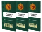 BARNEY'S FARM - PINEAPPLE EXPRESS FEM - immagine 2