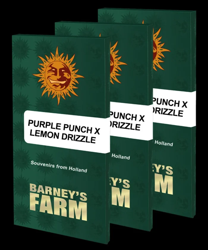 BARNEY'S FARM - PURPLE PUNCH X LEMON DRIZZLE FEM - immagine 2