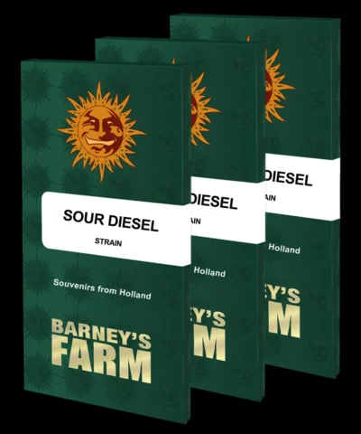 BARNEY'S FARM - SOUR DIESEL FEM - Image 2