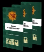 BARNEY'S FARM - SOUR STRAWBERRY FEM – Image 2