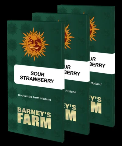 BARNEY'S FARM - SAURE ERDBEERE FEM – Bild 2