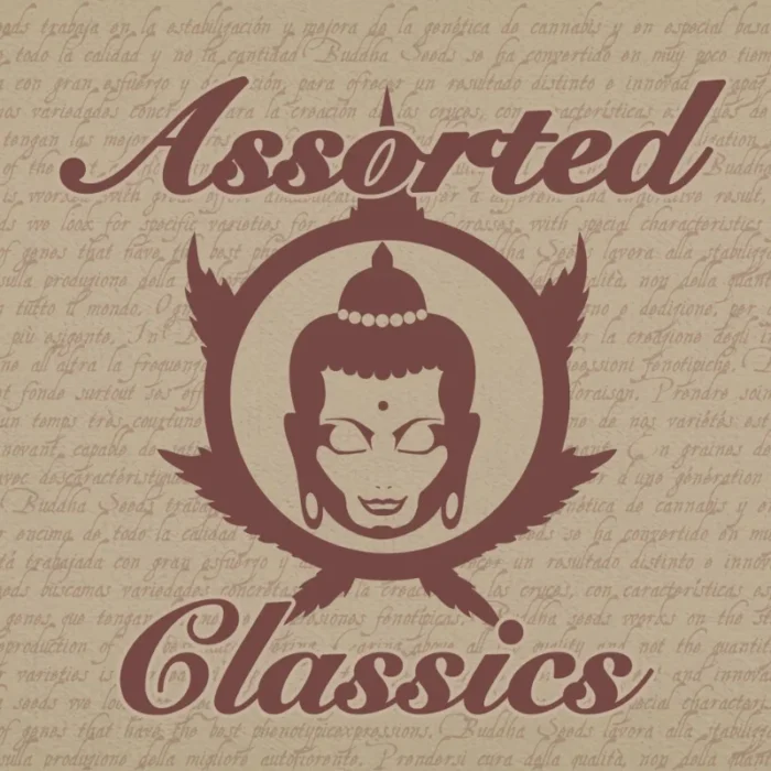 BUDDHA SEEDS - BUDDHA ASSORTED CLASSIC FEM / 10 SEMI - immagine 1