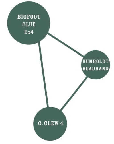 HUMBOLDT SEEDS COMPANY - BIGFOOT GLUE FEM - immagine 2