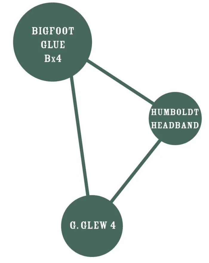 HUMBOLDT SEEDS COMPANY - BIGFOOT GLUE FEM – Image 2