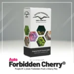DUTCH PASSION - AUTO FORBIDDEN CHERRY FEM - immagine 2