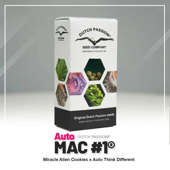 DUTCH PASSION - AUTO MAC #1 FEM - Imagen 2