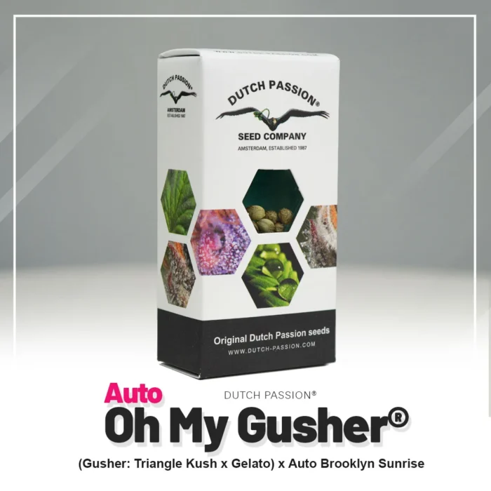 DUTCH PASSION - AUTO OH MY GUSHER FEM - Imagen 2